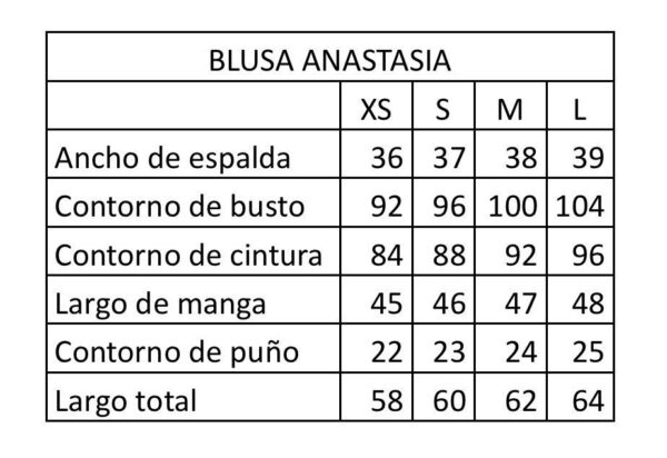 Blusa Anastasia Pre Orden - Imagen 7